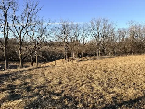 Lot 31.3 County Highway 28 Highway Kewanee IL 61443