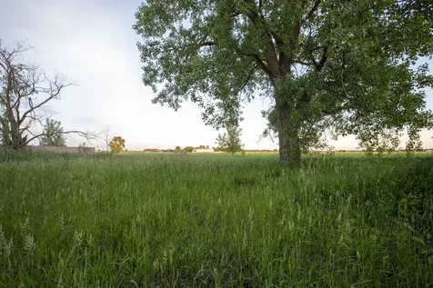 50W485 Il Route 64 Maple Park IL 60151