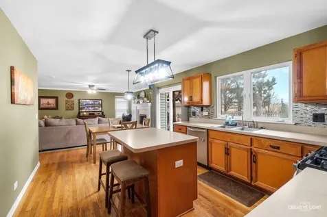 534 Chestnut Drive Oswego IL 60543