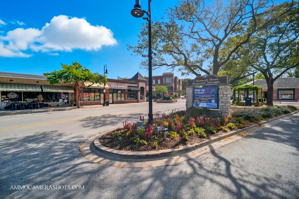 143 Ann Street Clarendon Hills IL 60514