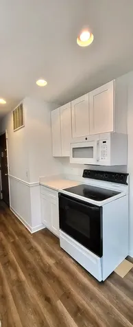 1607 East Maple Terrace Lisle IL 60532