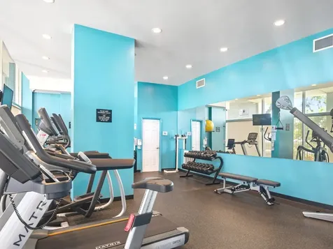 1150 North Lake Shore Drive Chicago IL 60611