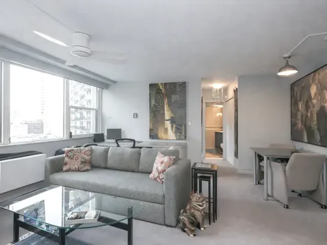 1150 North Lake Shore Drive Chicago IL 60611