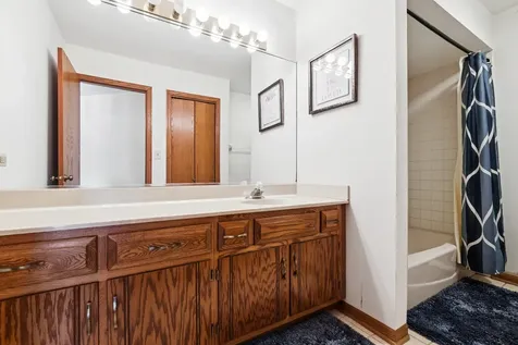 1429 Woodhollow Drive Flossmoor IL 60422