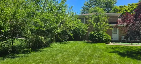 15354 Dobson Avenue South Holland IL 60473