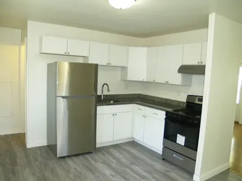 22431 Strassburg Avenue Sauk Village IL 60411