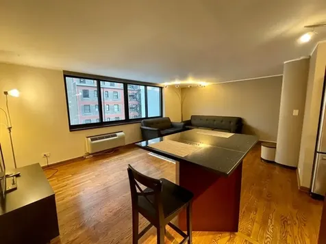 1221 North Dearborn Street Chicago IL 60610