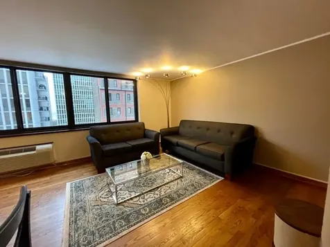 1221 North Dearborn Street Chicago IL 60610