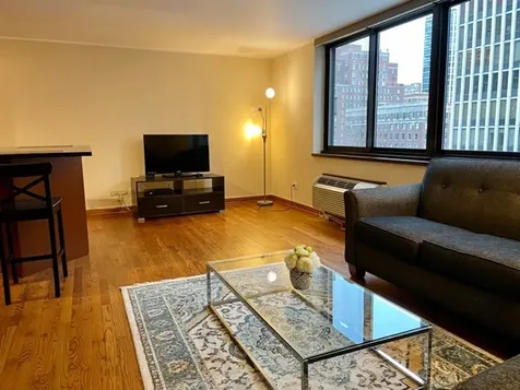 1221 North Dearborn Street Chicago IL 60610