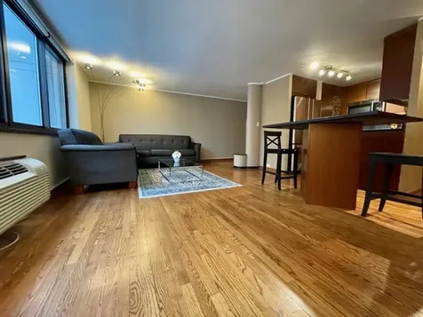 1221 North Dearborn Street Chicago IL 60610