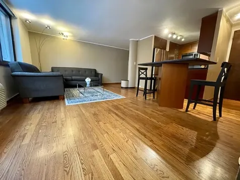 1221 North Dearborn Street Chicago IL 60610