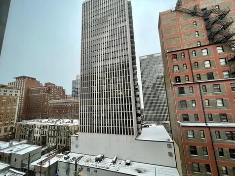 1221 North Dearborn Street Chicago IL 60610