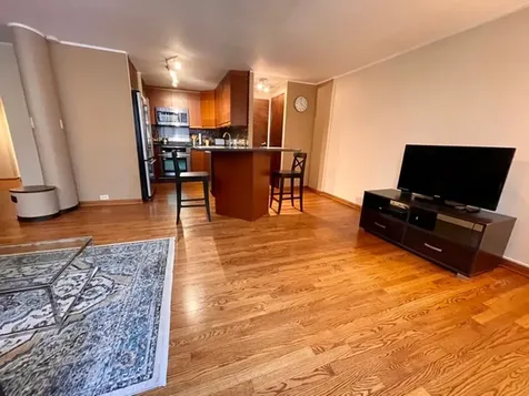 1221 North Dearborn Street Chicago IL 60610