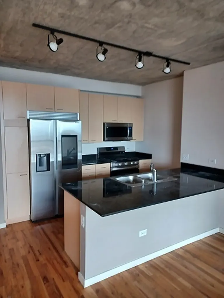 1845 South Michigan Avenue Chicago IL 60616