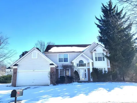 541 Meadowview Drive Wauconda IL 60084
