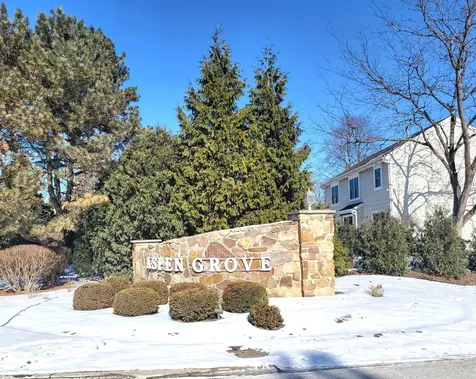 541 Meadowview Drive Wauconda IL 60084