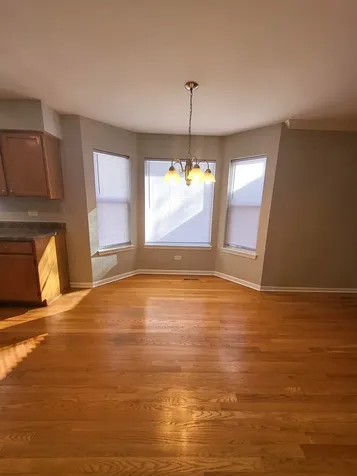541 Meadowview Drive Wauconda IL 60084