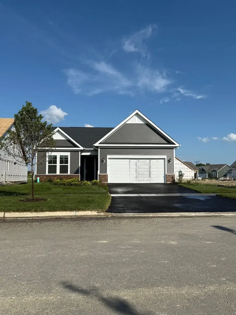 3132 Timberlake Avenue New Lenox IL 60451