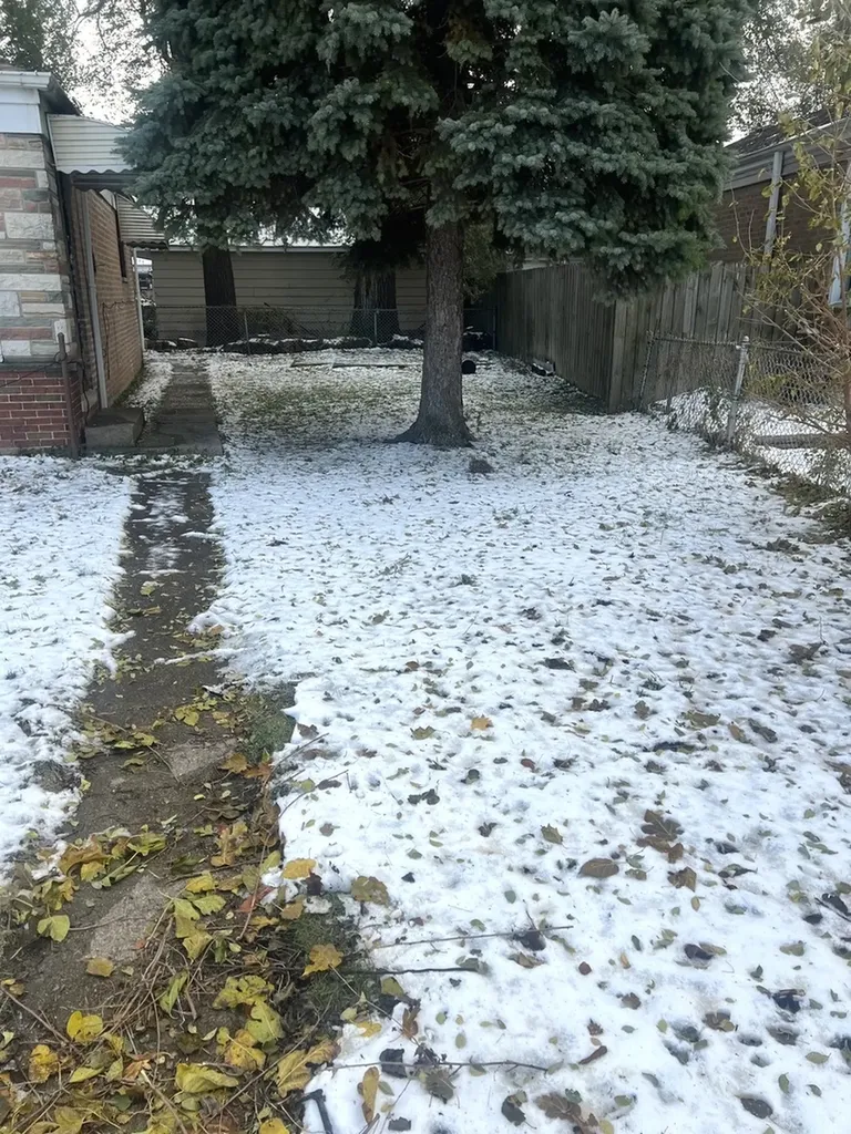 4601 West 82nd Street Chicago IL 60652