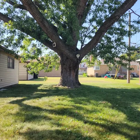 16646 Maryland Avenue South Holland IL 60473