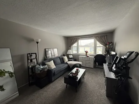 382 North Birch Street Manteno IL 60950