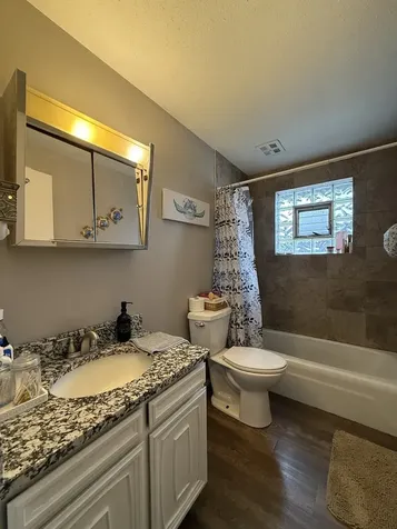 382 North Birch Street Manteno IL 60950