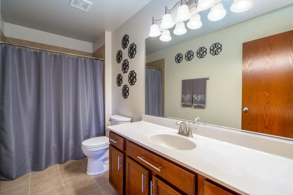 571 Northern Lights Way New Lenox IL 60451