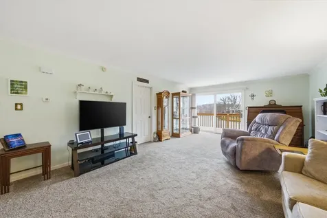 54 Village Woods Drive Crete IL 60417