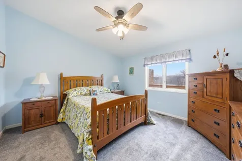 54 Village Woods Drive Crete IL 60417