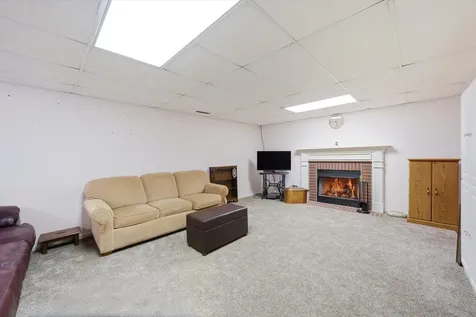 54 Village Woods Drive Crete IL 60417