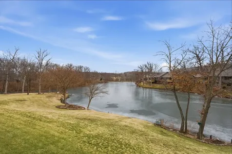 54 Village Woods Drive Crete IL 60417