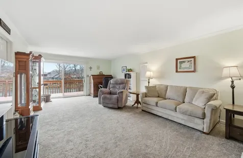 54 Village Woods Drive Crete IL 60417