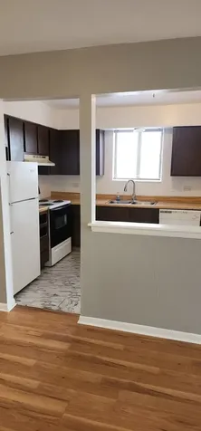 4561 Heartland Drive Richton Park IL 60471