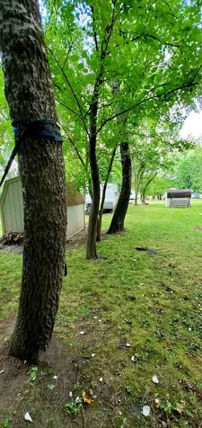 18-29 Woodhaven Lakes Sublette IL 61367
