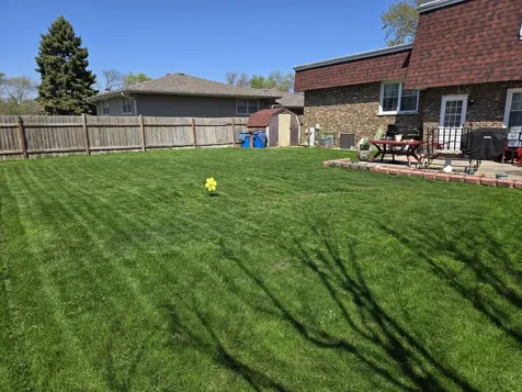 16506 Kenwood Avenue South Holland IL 60473