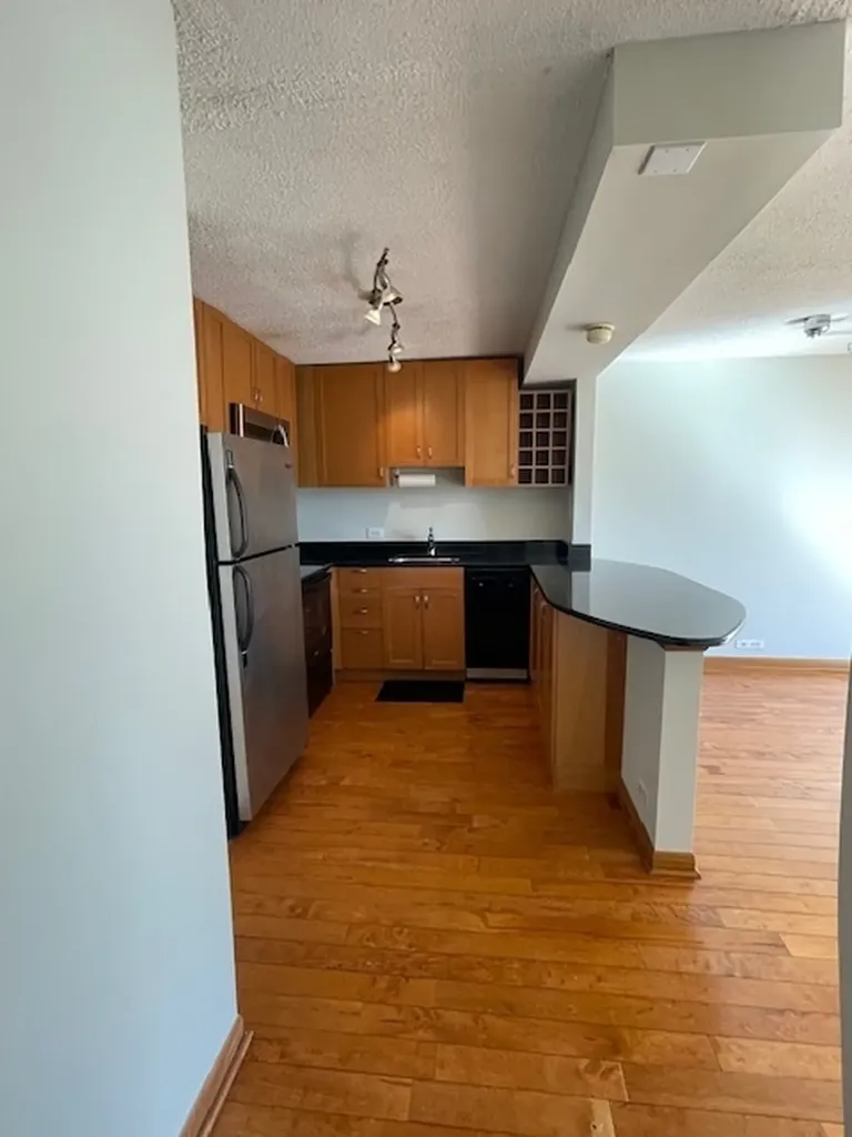 1460 North Sandburg Terrace Chicago IL 60610