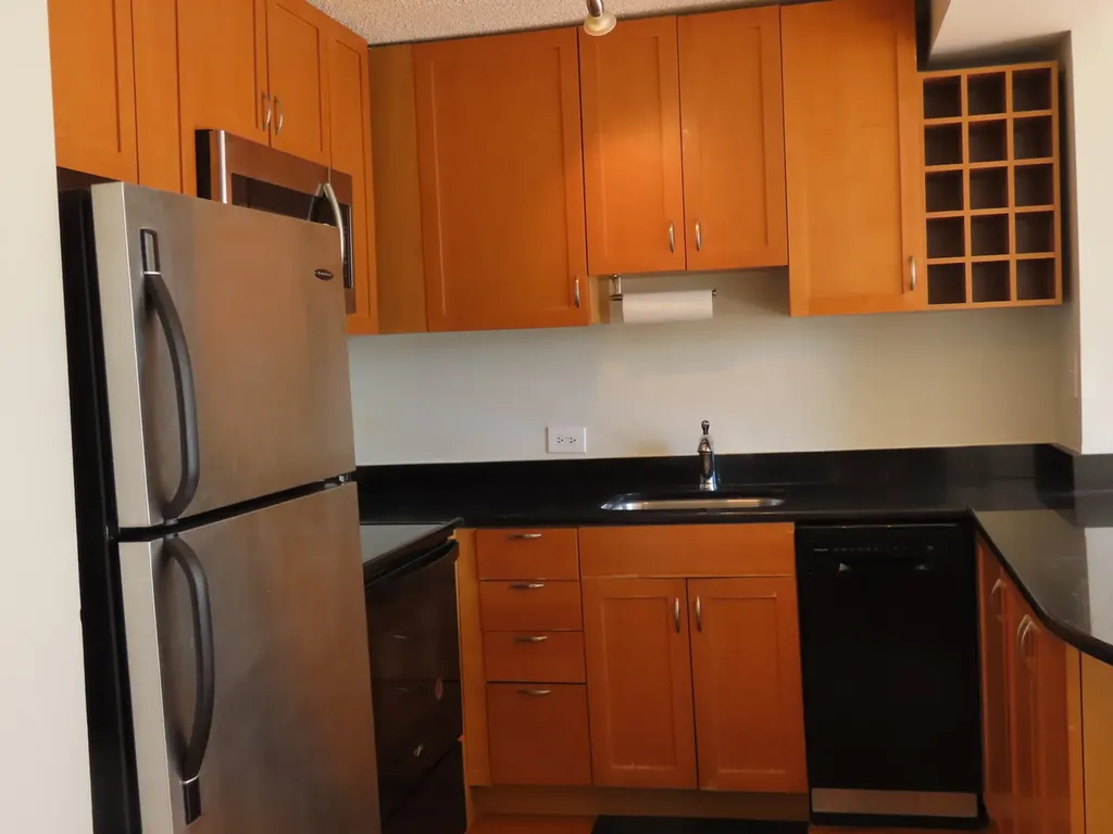 1460 North Sandburg Terrace Chicago IL 60610