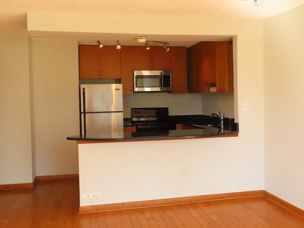 1460 North Sandburg Terrace Chicago IL 60610
