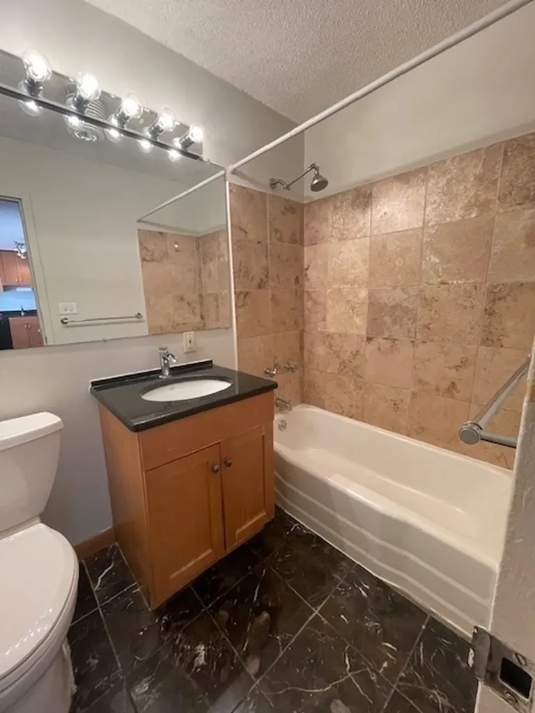 1460 North Sandburg Terrace Chicago IL 60610