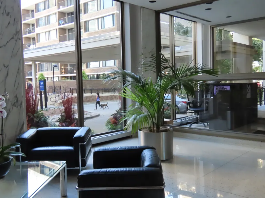 1460 North Sandburg Terrace Chicago IL 60610