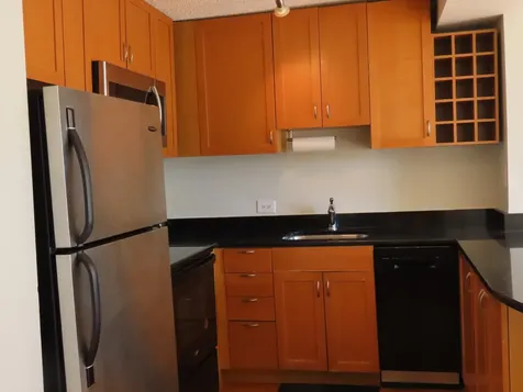 1460 North Sandburg Terrace Chicago IL 60610