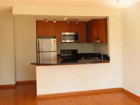 1460 North Sandburg Terrace Chicago IL 60610