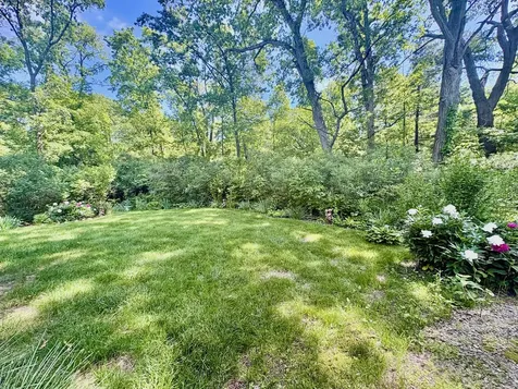 12115 South Spring Drive Palos Park IL 60464