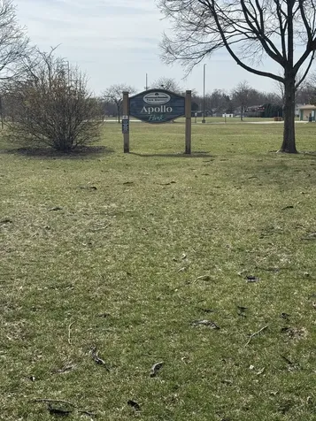18842 Morgan Street Homewood IL 60430