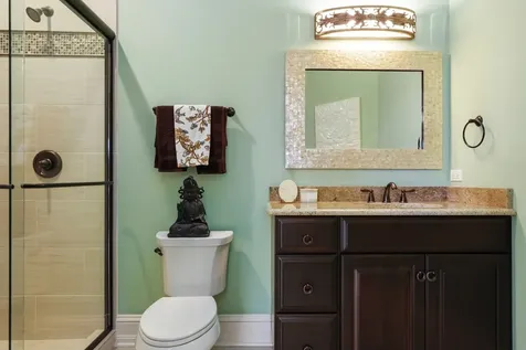 12650 Brighton Court Mokena IL 60448