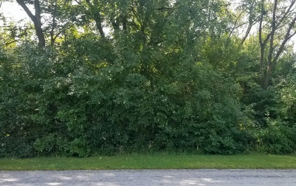 91 E 227TH Place Steger IL 60475
