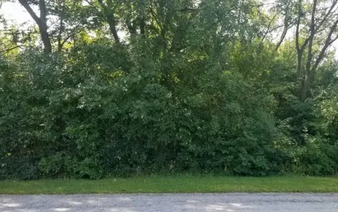 91 E 227TH Place Steger IL 60475