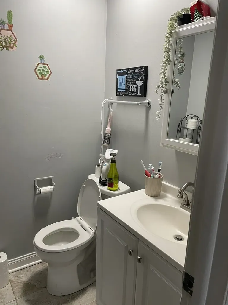 553 Alton Court Carol Stream IL 60188