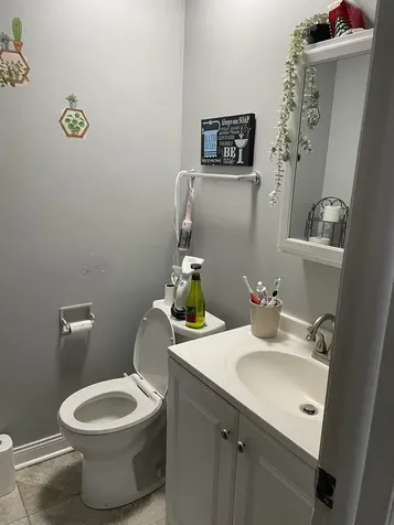 553 Alton Court Carol Stream IL 60188