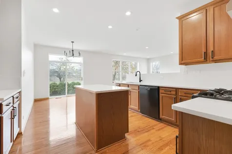 786 Bohannon Circle Oswego IL 60543